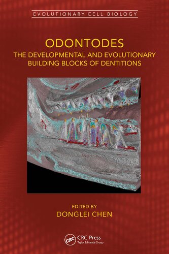 Odontodes: The Developmental and Evolutionary Building Blocks of Dentitions