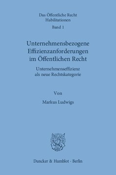 Unternehmensbezogene Effizienzanforderungen im Öffentlichen Recht: Unternehmenseffizienz als neue Rechtskategorie