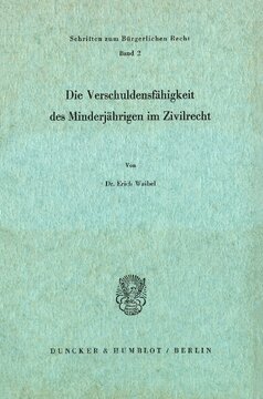 Die Verschuldungsfähigkeit des Minderjährigen im Zivilrecht