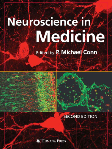 Neuroscience in Medicine