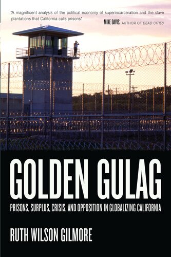 Golden gulag: prisons, surplus, crisis, and opposition in globalizing California