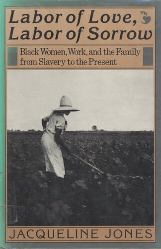 Labor of love, labor of sorrow: Black women, work, and the family from slavery to the present