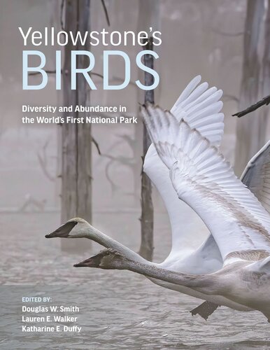 Yellowstone’s Birds: Diversity and Abundance in the World’s First National Park