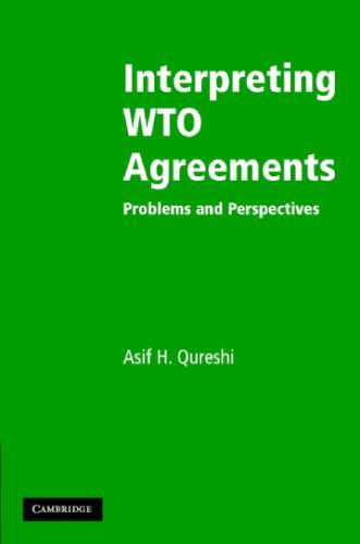 Interpreting WTO Agreements: Problems and Perspectives