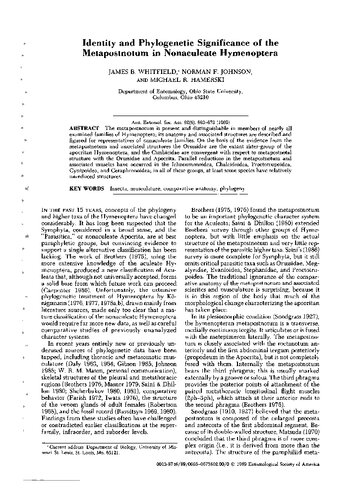 Identity and phylogenetic significance of the metapostnotum in nonaculeate Hymenoptera