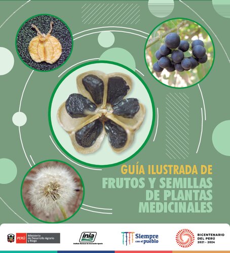 Guía Ilustrada de Frutos y Semillas de Plantas Medicinales