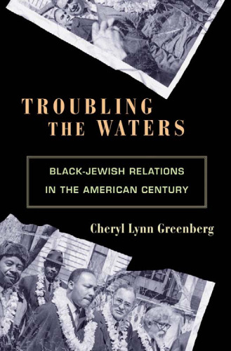 Troubling the Waters: Black-Jewish Relations in the American Century (Politics and Society in Twentieth Century America)