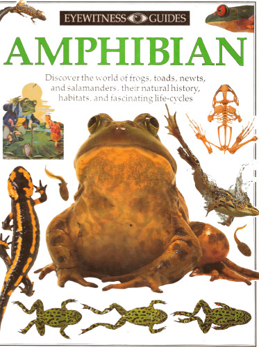 DK Eyewitness Guides - Amphibian