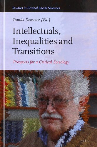 Intellectuals, Inequalities and Transitions (Studies in Critical Social Sciences, 156)