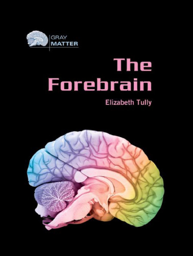 The Forebrain (Gray Matter)