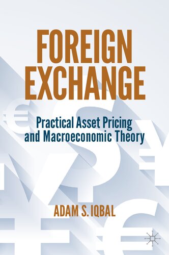 Foreign Exchange: Practical Asset Pricing and Macroeconomic Theory