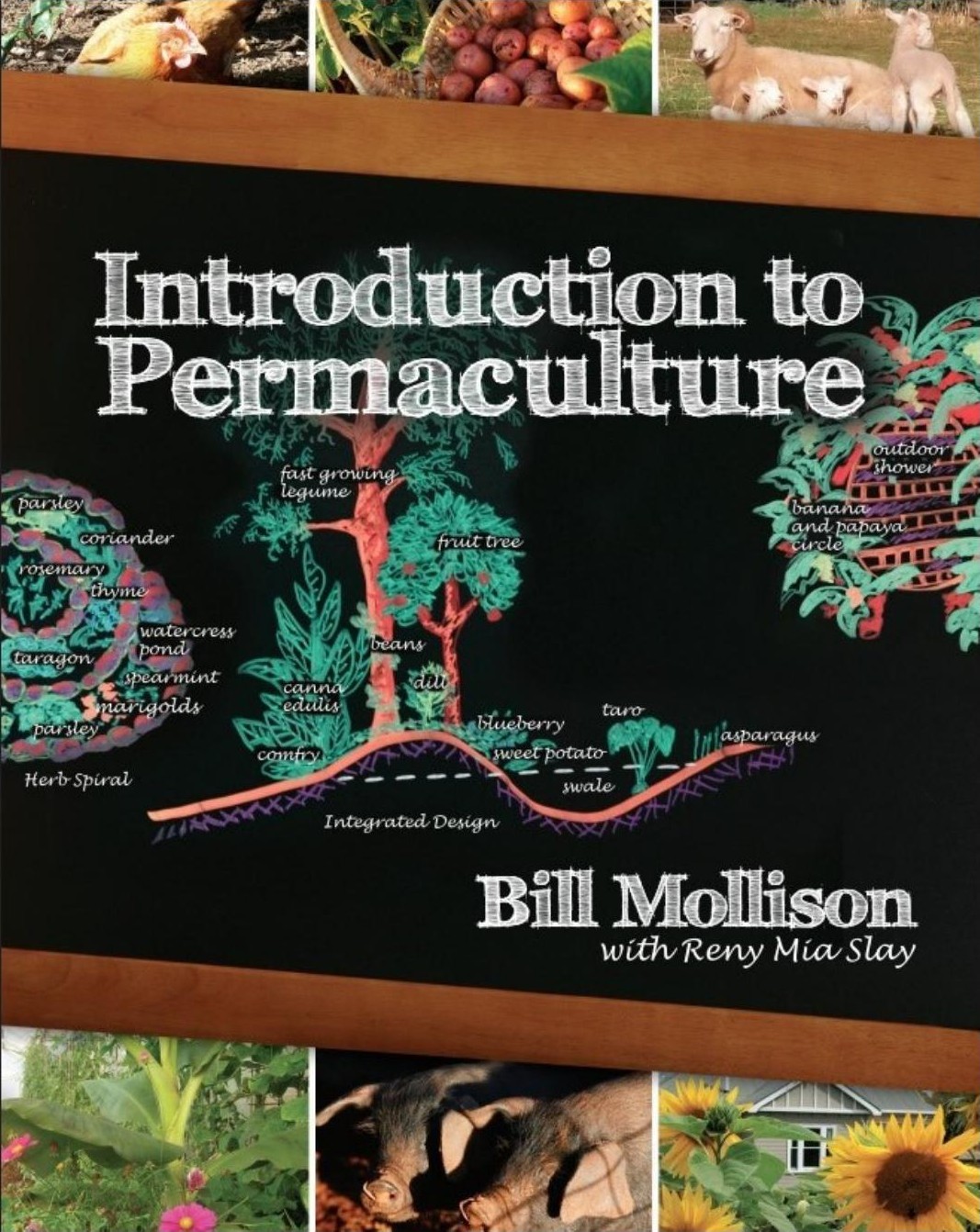 Introduction to Permaculture