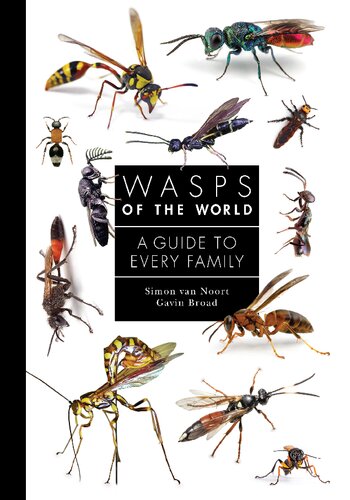 Wasps of the World: A Guide to Every Family (A Guide to Every Family, 8)