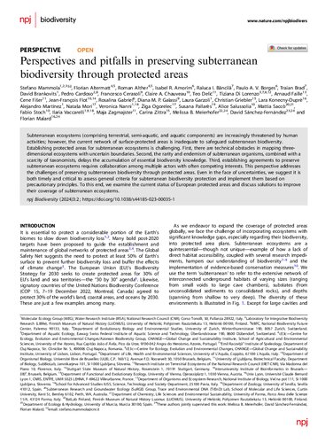 yes 
Perspectives and pitfalls in preserving subterranean biodiversity through protected areas