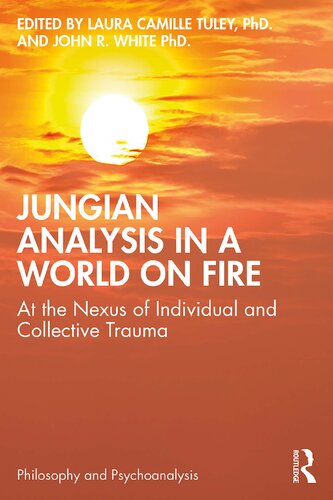 Jungian Analysis in a World on Fire: At the Nexus of Individual and Collective Trauma (Philosophy and Psychoanalysis)