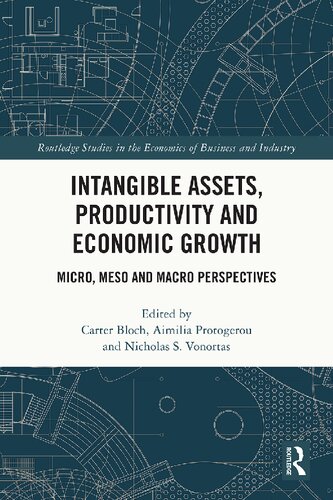 Intangible Assets, Productivity and Economic Growth: Micro, Meso and Macro Perspectives