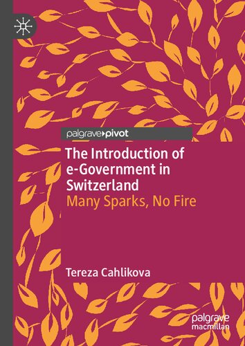 The Introduction of e-Government in Switzerland: Many Sparks, No Fire