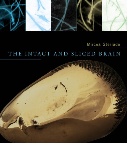 The Intact and Sliced Brain (Bradford Books)