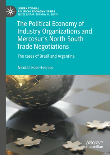 The Political Economy of Industry Organizations and Mercosur's North-South Trade Negotiations: The cases of Brazil and Argentina (International Political Economy Series)