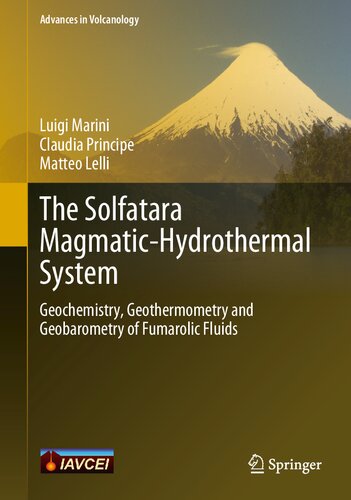 The Solfatara Magmatic-Hydrothermal System: Geochemistry, Geothermometry and Geobarometry of Fumarolic Fluids (Advances in Volcanology)