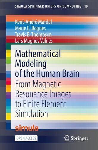 Mathematical Modeling of the Human Brain: From Magnetic Resonance Images to Finite Element Simulation