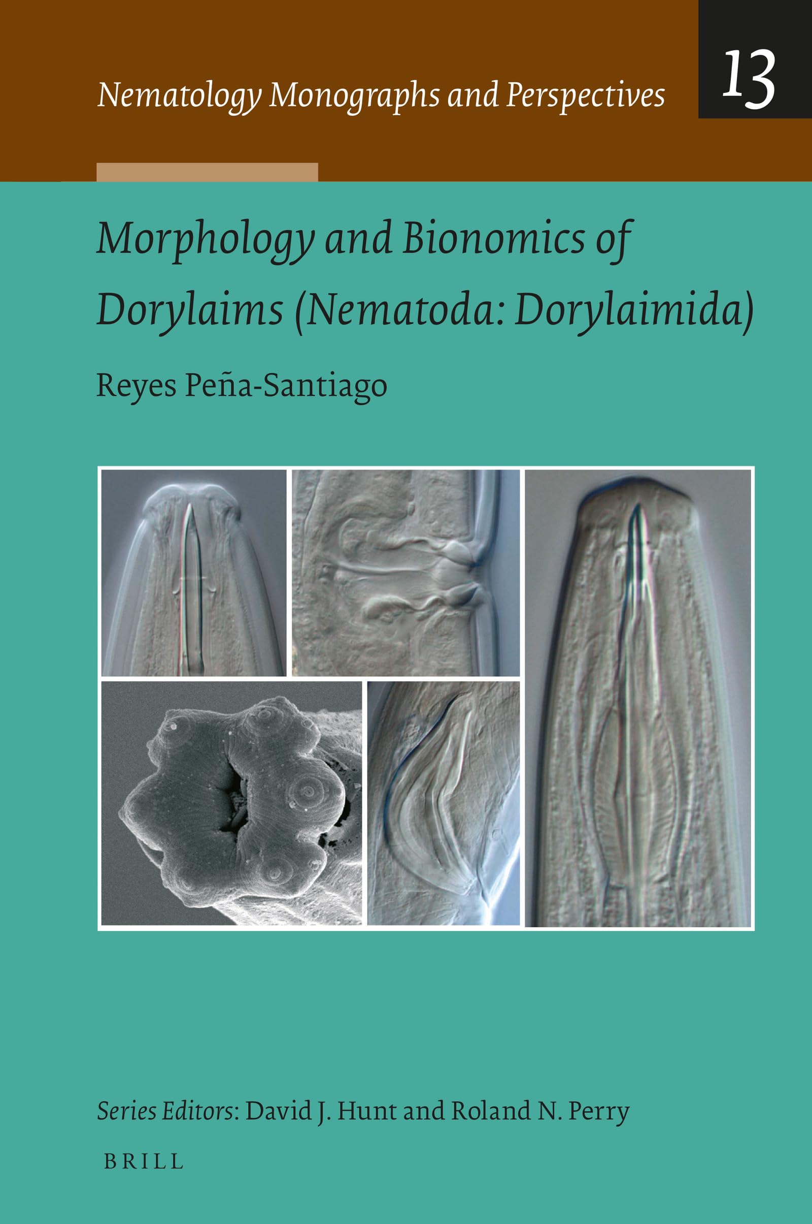 Morphology and Bionomics of Dorylaims (Nematoda, Dorylaimida) (Nematology Monographs and Perspectives, 13)