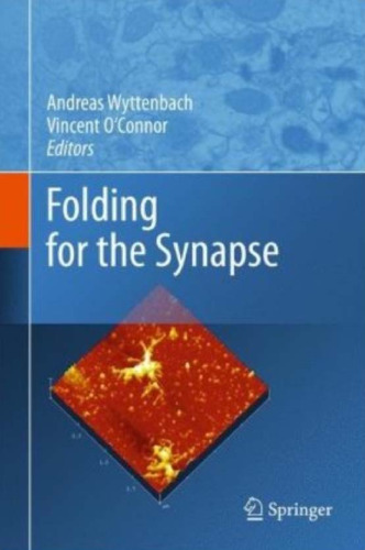 Folding for the Synapse