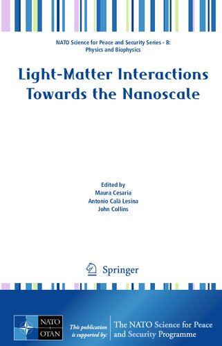 Light-Matter Interactions Towards the Nanoscale (NATO Science for Peace and Security Series B: Physics and Biophysics)