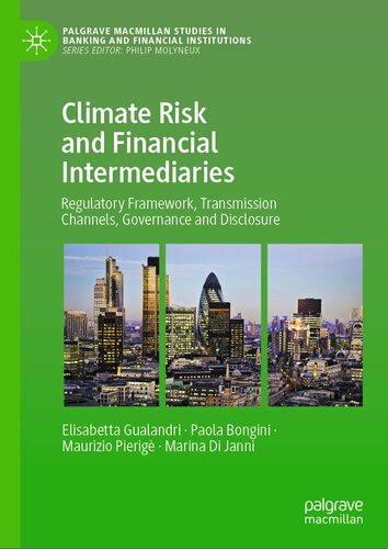 Climate Risk and Financial Intermediaries: Regulatory Framework, Transmission Channels, Governance and Disclosure (Palgrave Macmillan Studies in Banking and Financial Institutions)