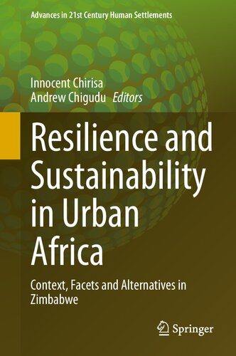 Resilience and Sustainability in Urban Africa: Context, Facets and Alternatives in Zimbabwe (Advances in 21st Century Human Settlements)