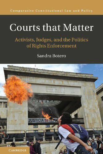 Courts that Matter: Activists, Judges, and the Politics of Rights Enforcement (Comparative Constitutional Law and Policy)