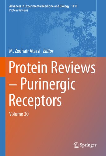 Protein Reviews – Purinergic Receptors: Volume 20 (Advances in Experimental Medicine and Biology, 1111)