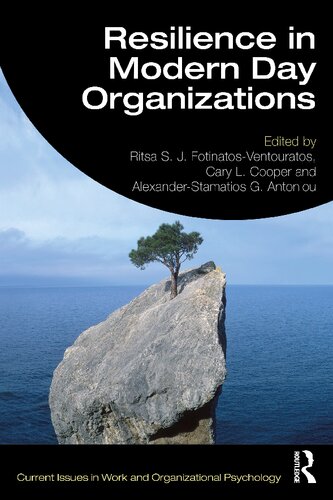 Resilience in Modern Day Organizations (Current Issues in Work and Organizational Psychology)