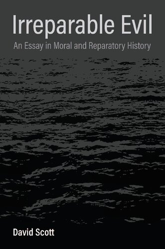 Irreparable Evil: An Essay in Moral and Reparatory History