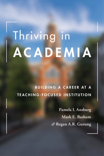 Thriving in Academia: Building a Career at a Teaching-focused Institution