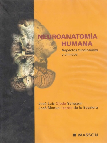 Neuroanatomia Humana  Spanish