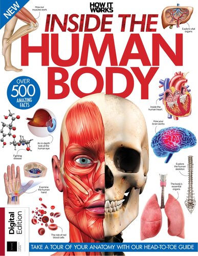 Inside the Human Body