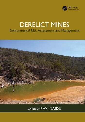 Derelict Mines: Environmental Risk Assessment and Management