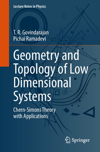 Geometry and Topology of Low Dimensional Systems: Chern-Simons Theory with Applications