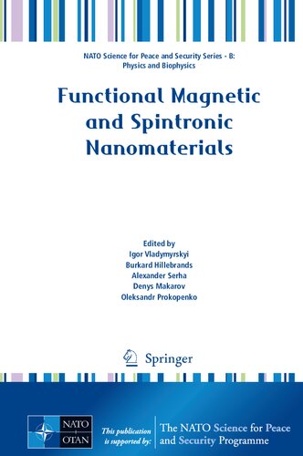 Functional Magnetic and Spintronic Nanomaterials (NATO Science for Peace and Security Series B: Physics and Biophysics)