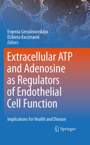 Extracellular ATP and Adenosine as Regulators of Endothelial Cell Function: Implications for Health and Disease