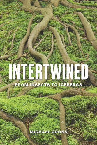 Intertwined : From Insects to Icebergs