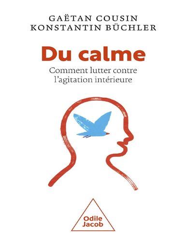 Du calme! ou comment lutter contre l'agitation intérieure