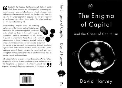 The Enigma of Capital