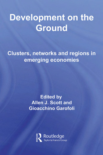 Development on the Ground: Clusters, Networks and Regions in Emerging Economies (Routledge Advances in Management and Business Studies)