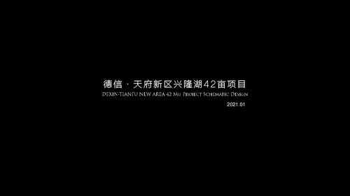 上海柏涛：成都天府新区德信弘阳·湖畔云璟投标方案文本【商墅+江景高层豪宅】