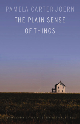 The Plain Sense of Things (Flyover Fiction)