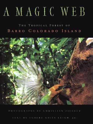 A Magic Web: The Forest of Barro Colorado Island