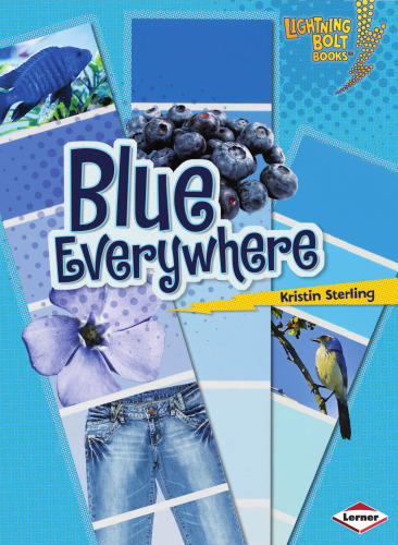 Blue Everywhere (Lightning Bolt Books - Colors Everywhere)