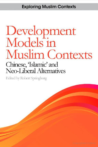 Development Models in Muslim Contexts: Chinese, 'Islamic,' and Neo-liberal Alternatives (Exploring Muslim Contexts)